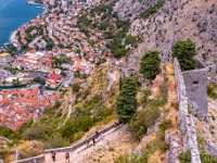 Kotor